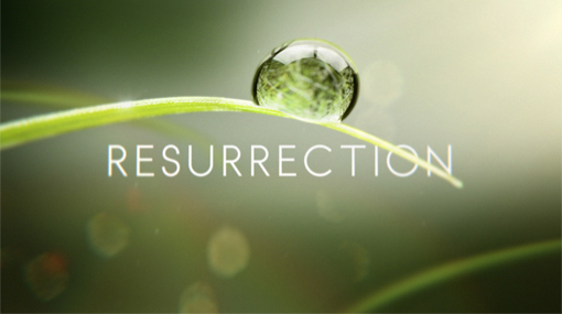Premi a la sèrie INSÍPIDA de l’any: ‘Resurrection’