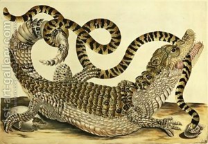 Alligator-And-Snake-1730