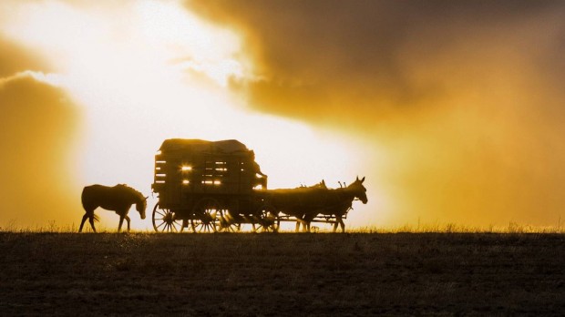 homesman-western-hilary-swank-tommy-lee-jones-critiques-cinema-pel·licules-cinesa-cines-mejortorrent-pelis-films-series-els-bastards-critica