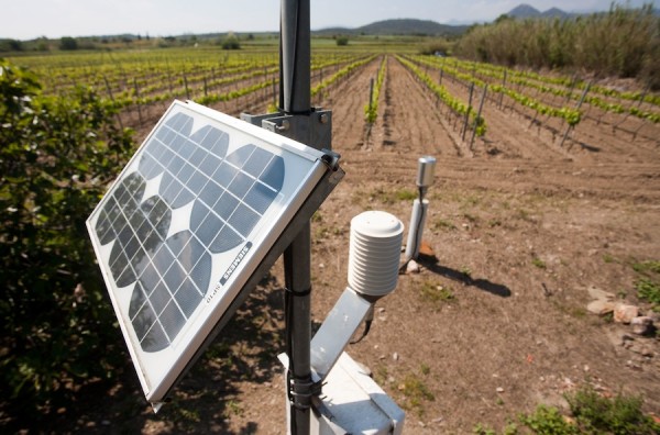 Espolla-Servei-Meteorologic-Catalunya-BORRAT_ARAIMA20120510_0092_1