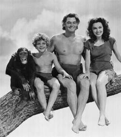 cheeta-nous-a-quittes_110635_w250