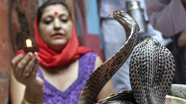 Festival-Serpiente-Jammu-India_TINIMA20130910_0544_18