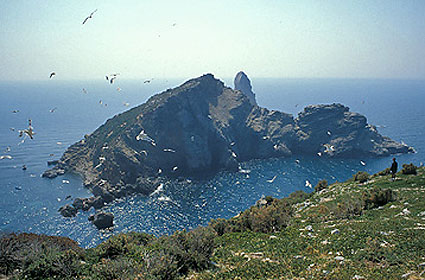 medes5