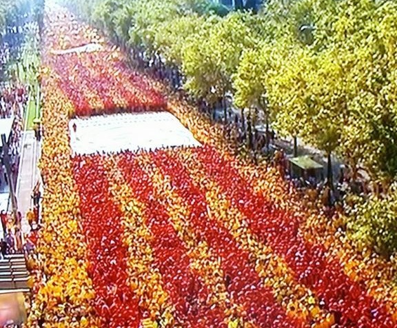 diada2014