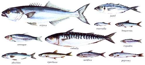 peixblau