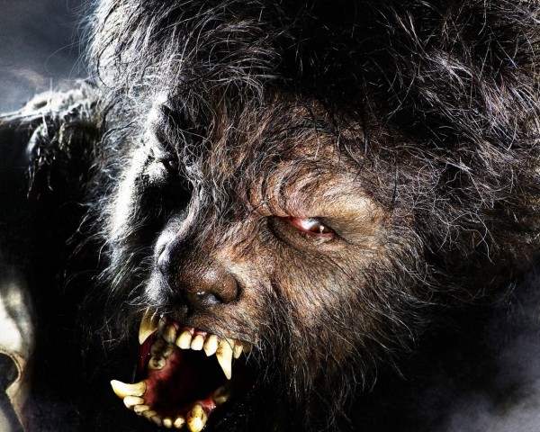 fondos-de-escritorio-hombre-lobo
